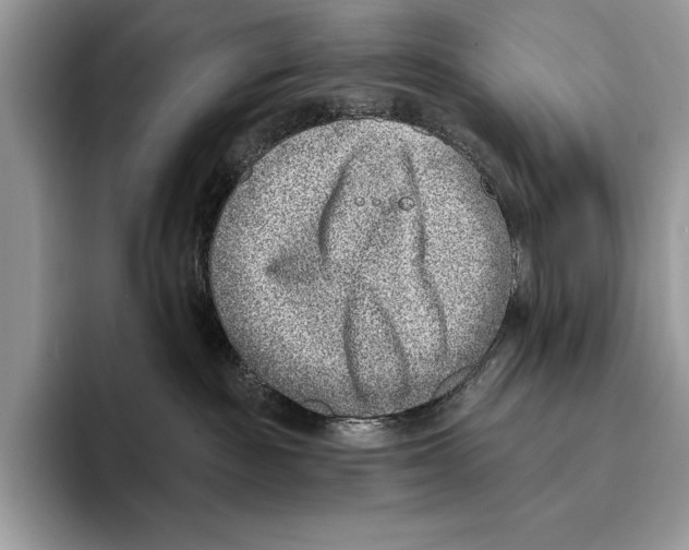 X0000095960189200802081325