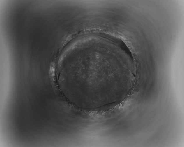 X0000095960192200802081325