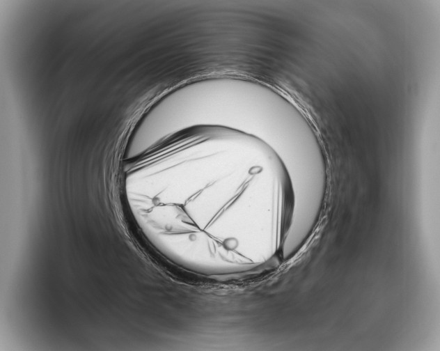 X0000095960193200802081324