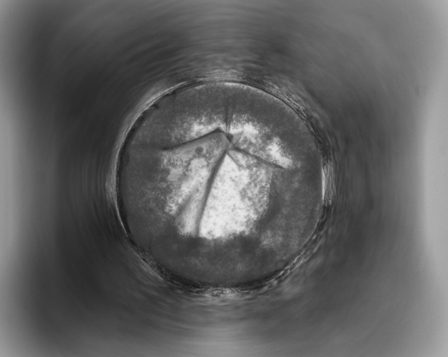 X0000095960195200802081324