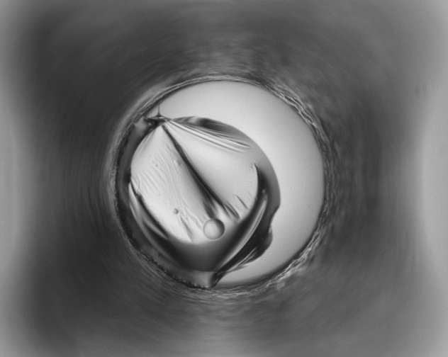 X0000095960197200802081324