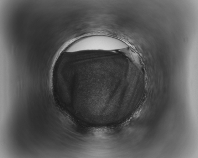X0000095960200200802081324