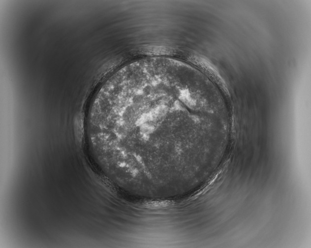 X0000095960202200802081324