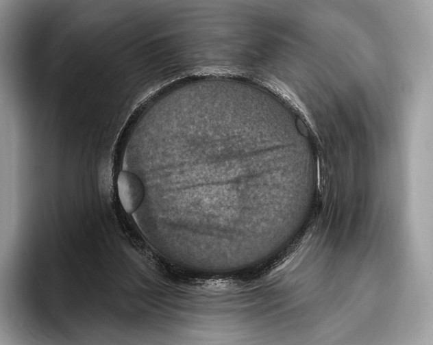 X0000095960204200802081324