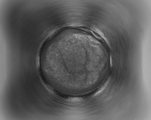 X0000095960205200802081324