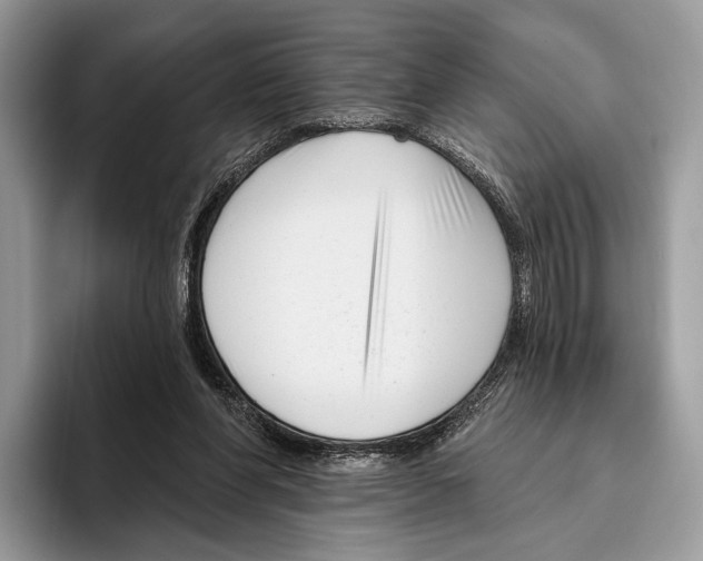 X0000095960206200802081324