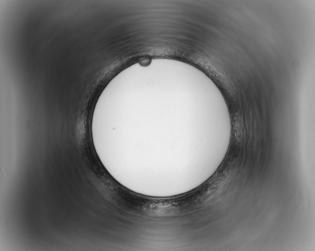 X0000095960208200802081324