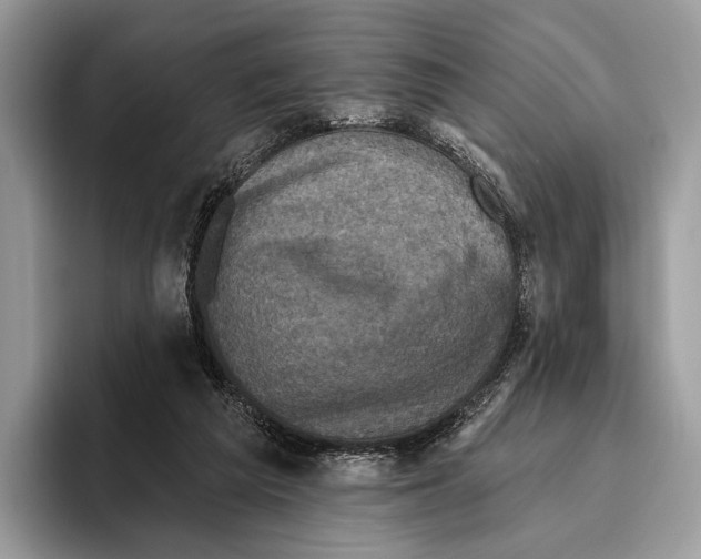 X0000095960209200802081324