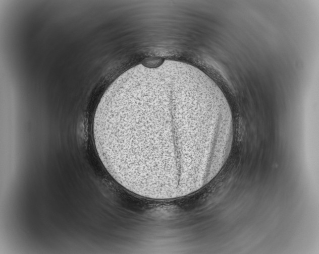 X0000095960210200802081324