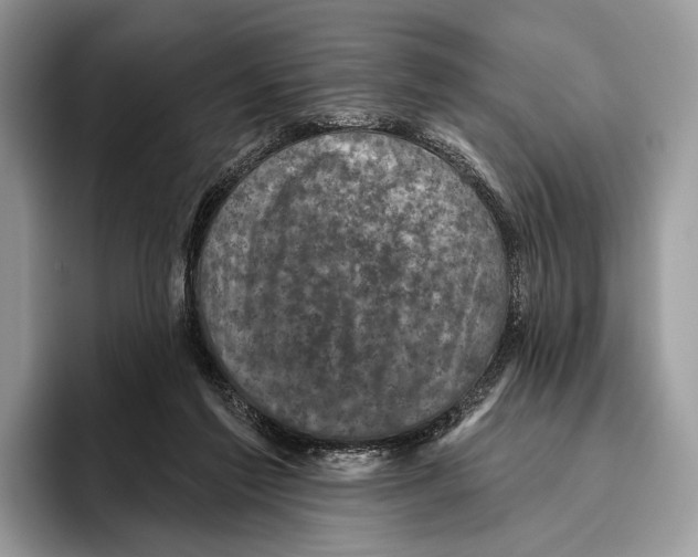 X0000095960213200802081324