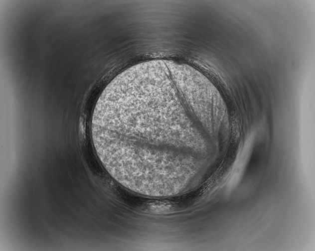 X0000095960214200802081324