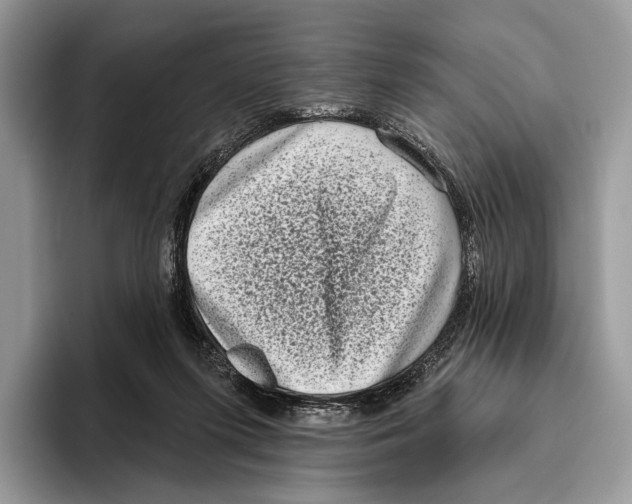 X0000095960215200802081324