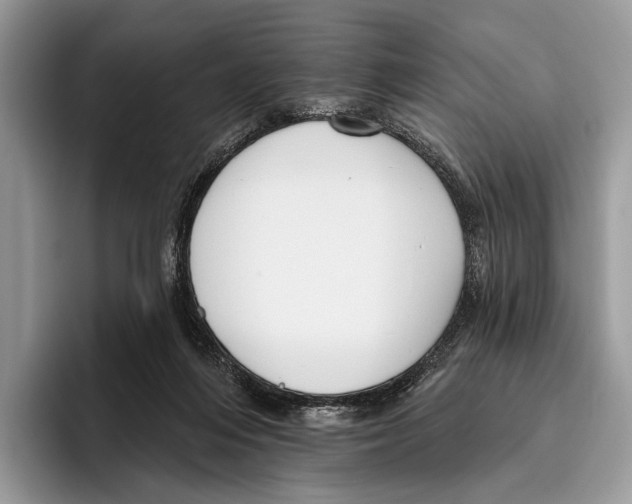 X0000095960216200802081324
