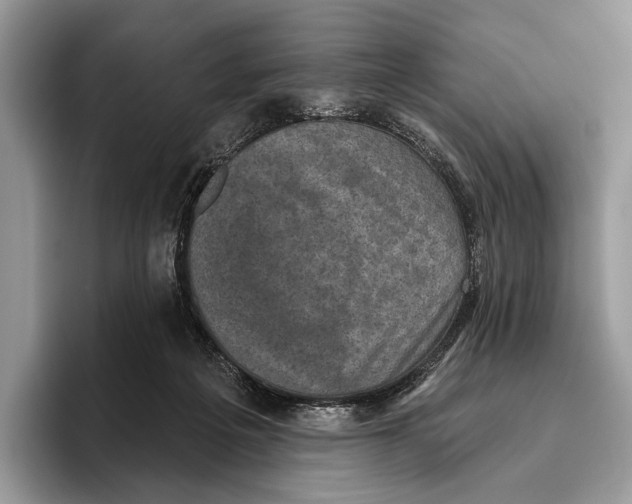 X0000095960217200802081324