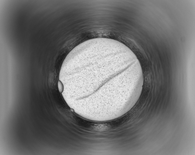 X0000095960218200802081324