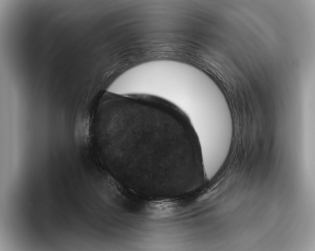 X0000095960219200802081324
