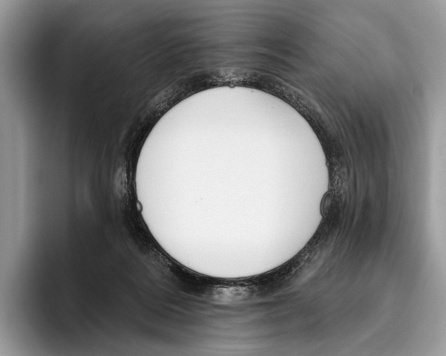 X0000095960220200802081324