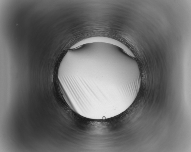 X0000095960221200802081324