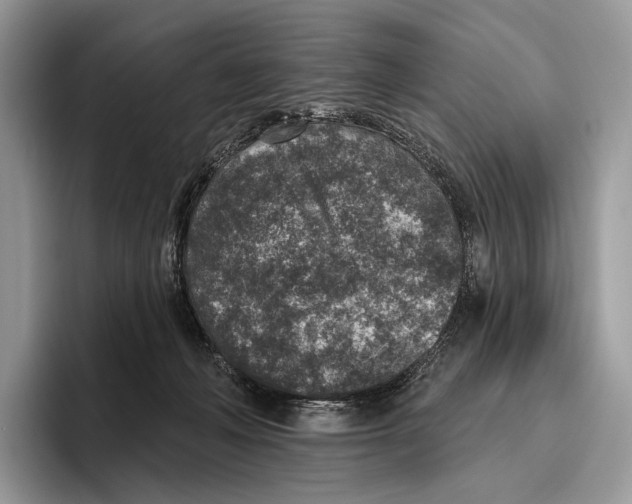 X0000095960222200802081324
