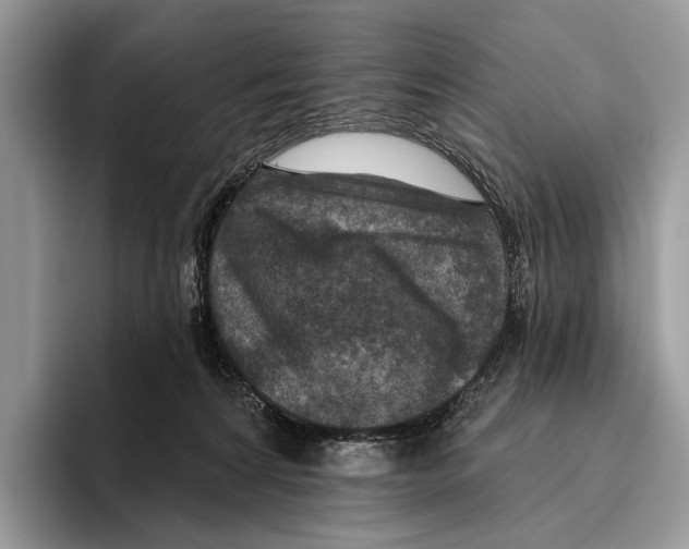 X0000095960224200802081324