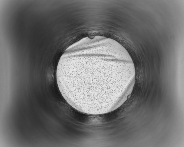 X0000095960226200802081324