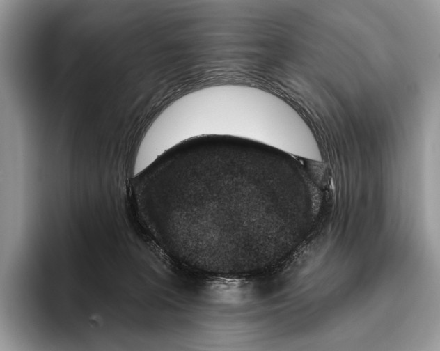 X0000095960227200802081324