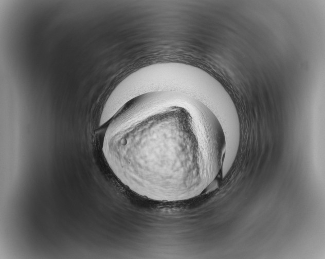 X0000095960228200802081324
