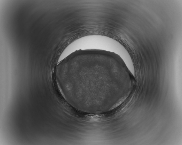 X0000095960229200802081324