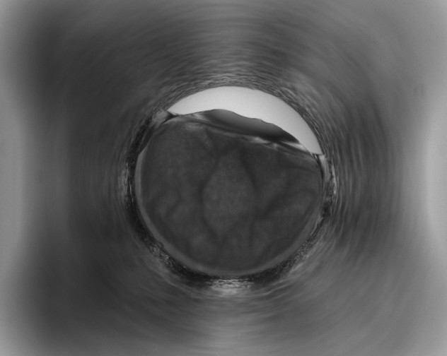 X0000095960231200802081324
