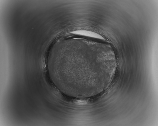 X0000095960232200802081324