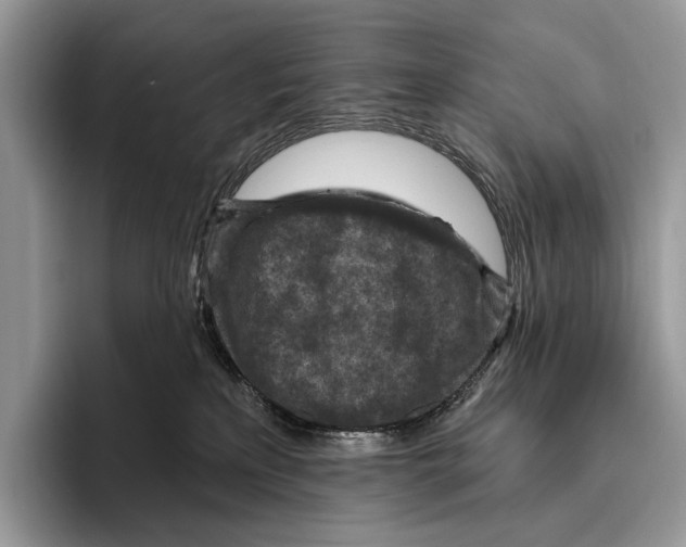X0000095960233200802081324