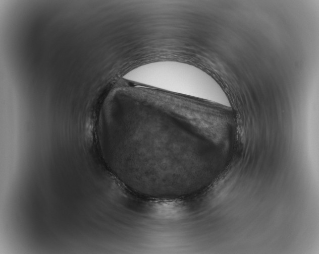 X0000095960235200802081324