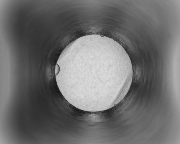 X0000095960236200802081324