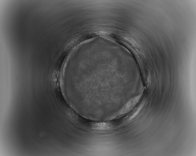 X0000095960237200802081324