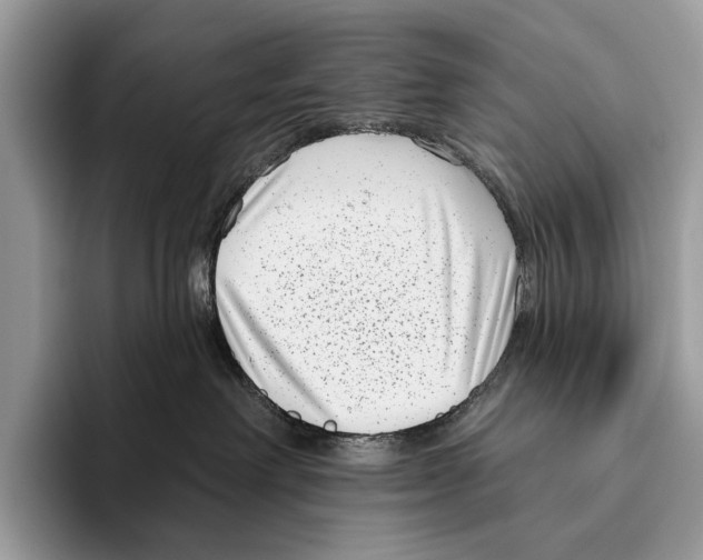 X0000095960238200802081324