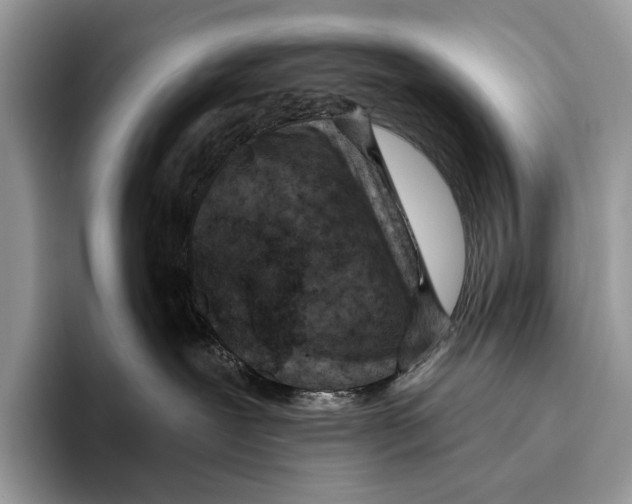X0000095960239200802081324
