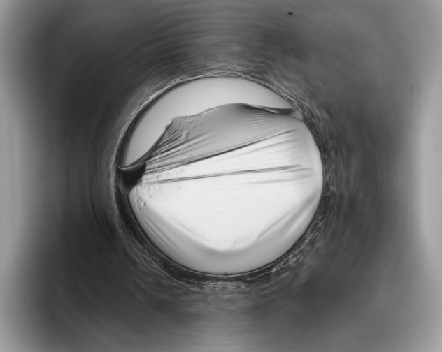 X0000095960242200802081323