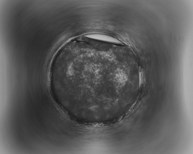 X0000095960243200802081323