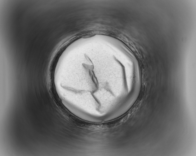 X0000095960245200802081323