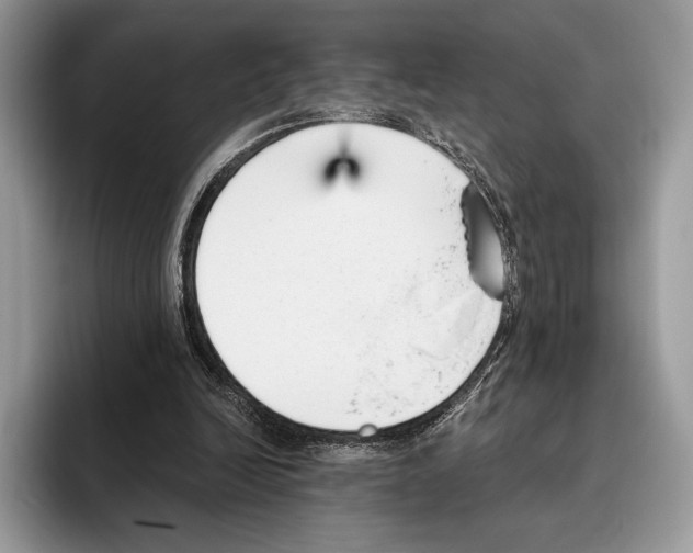 X0000095960246200802081323