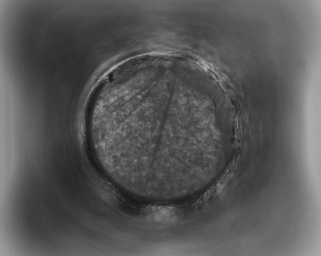 X0000095960247200802081323