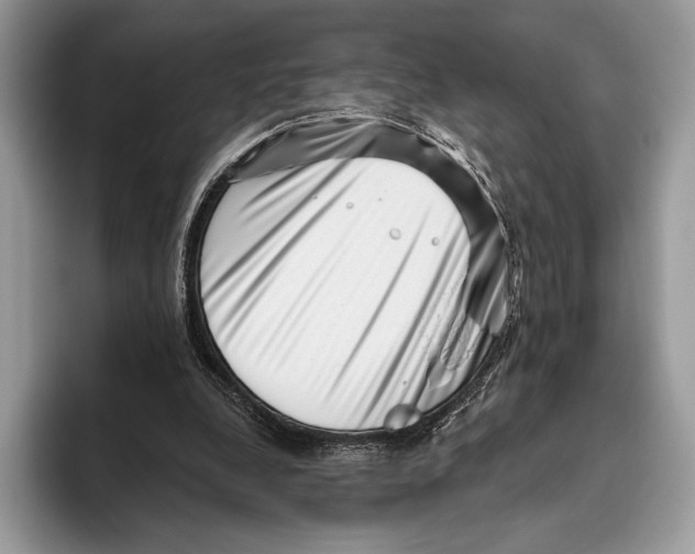 X0000095960248200802081323