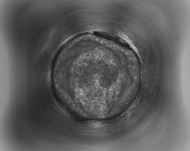 X0000095960249200802081323