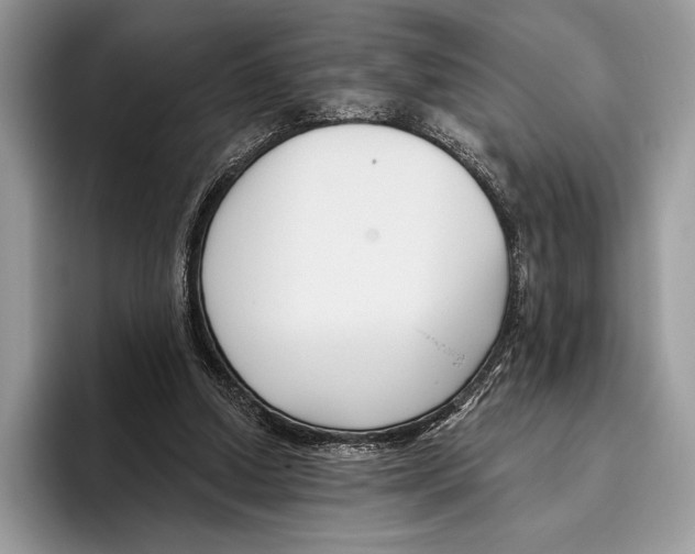 X0000095960250200802081323