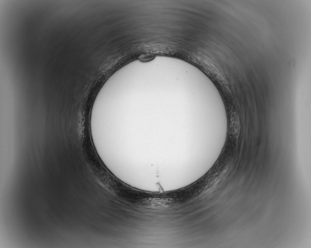 X0000095960255200802081323