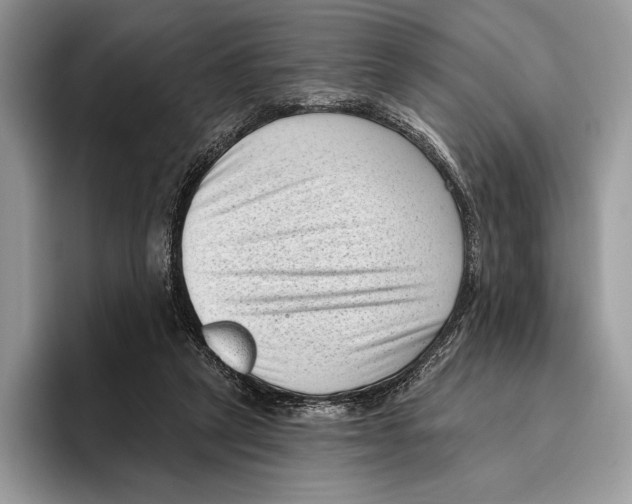 X0000095960257200802081323