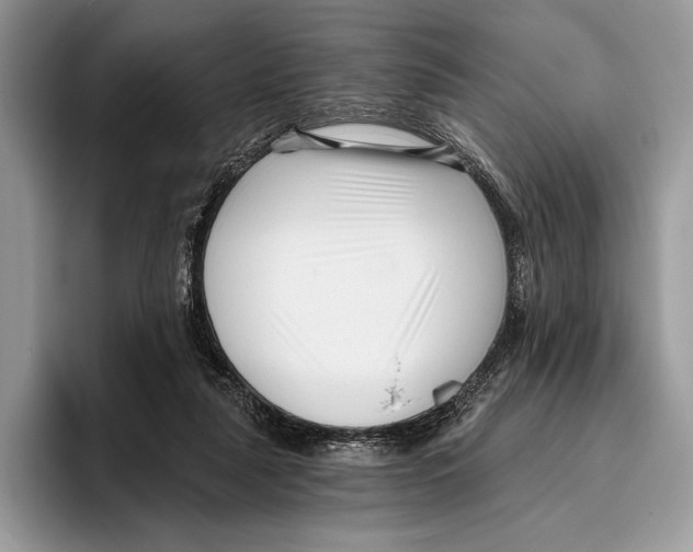 X0000095960259200802081323