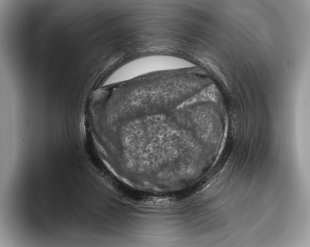 X0000095960260200802081323