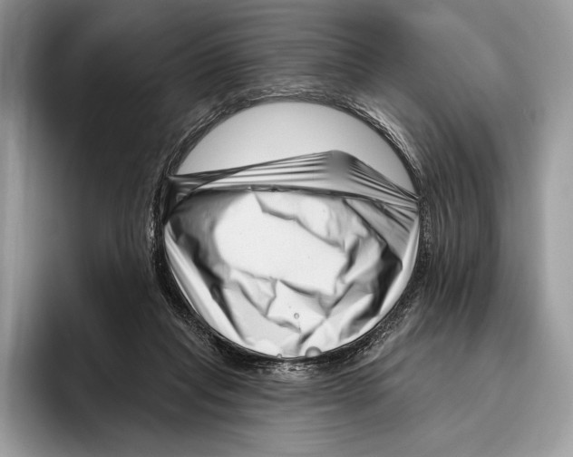 X0000095960261200802081323