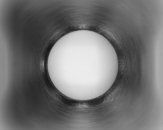 X0000095960262200802081323